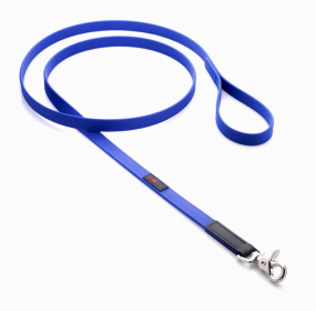 Boss Regular Leash (Color: Blue, size: 3/4"x4')