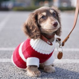 Sausage Dog Clothes Small Dog Cat Warm Thickened Sweater (Option: Red And White Striped Sweater-SS)